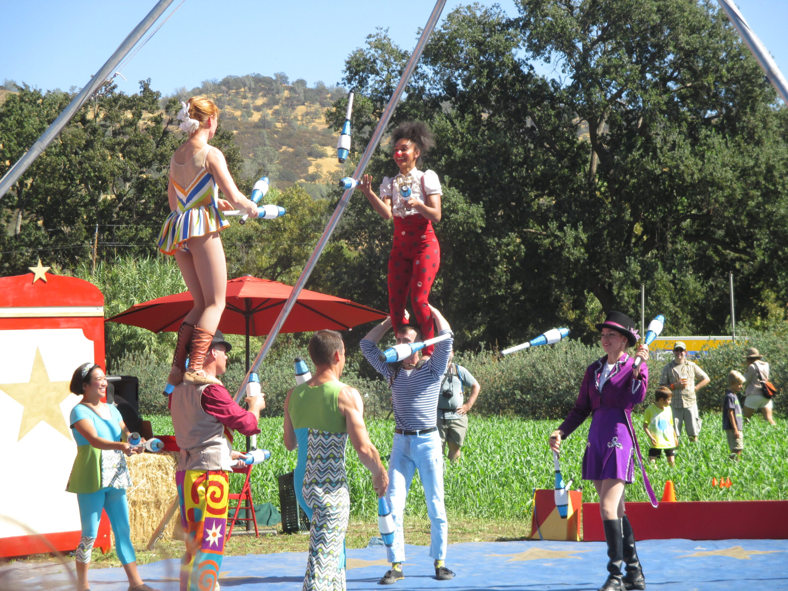 Charming Fall Festivals & Unique Pumpkin Patches That Are Fun For Families - Hoes Down Harvest Festival