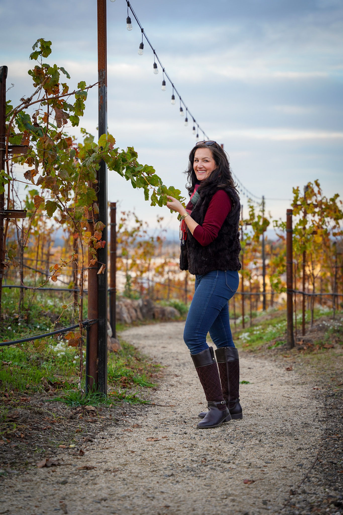 Napa Food & Wine Guide: The Ultimate Epicurean Experience in California's Wine Country - Christina-Lauren Pollack