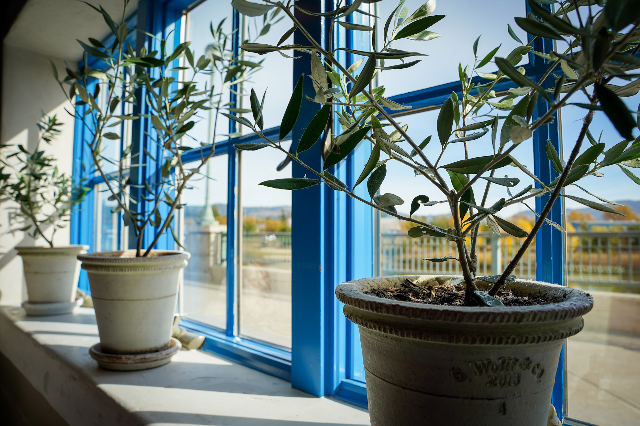 Napa Food & Wine Guide: The Ultimate Epicurean Experience in California's Wine Country - Angèle Restaurant and Bar in Downtown Napa