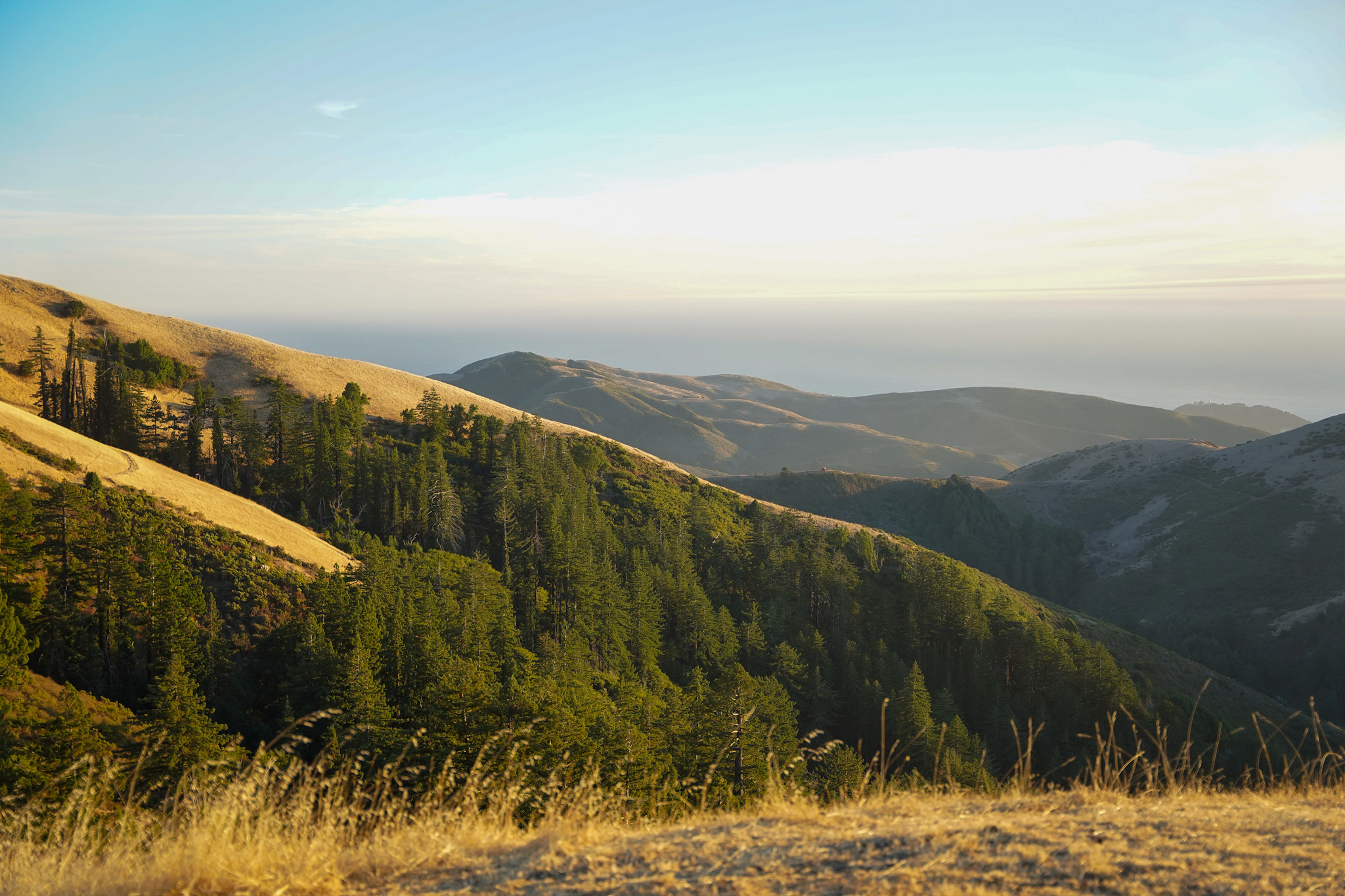 Outstanding in the Field in Big Sur California