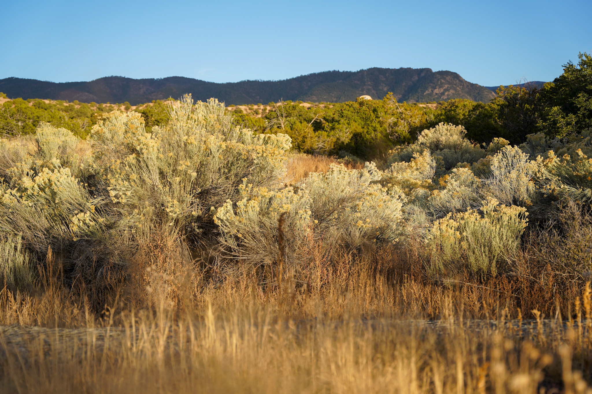 Santa Fe New Mexico Luxury Travel Guide - The Four Seasons Resort Ranch Encantado Santa Fe