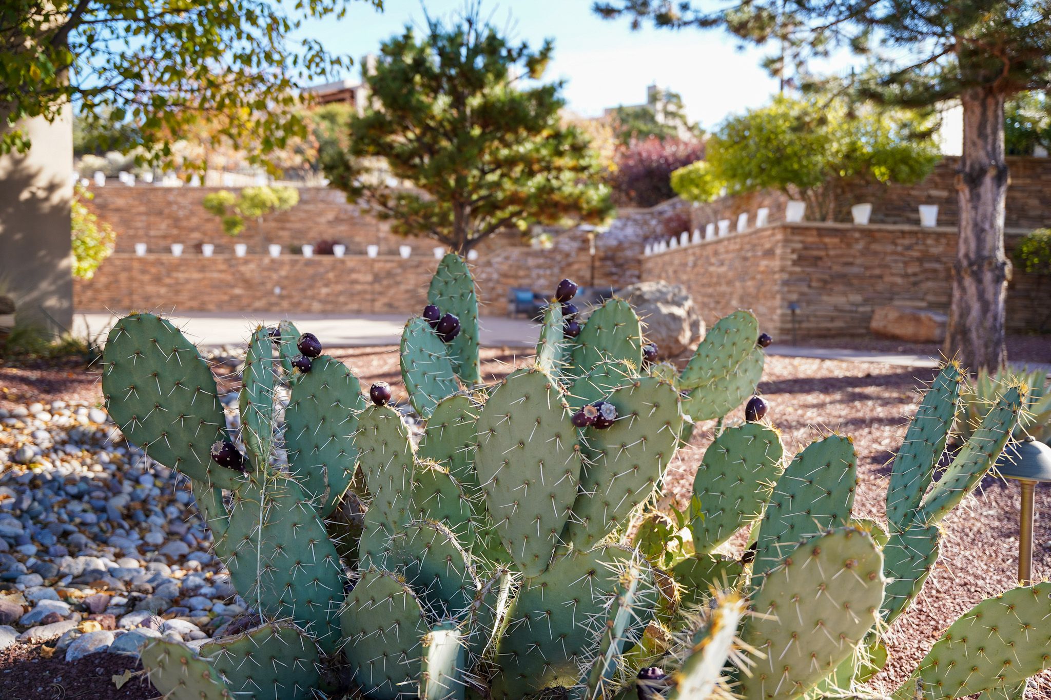 Santa Fe New Mexico Luxury Travel Guide