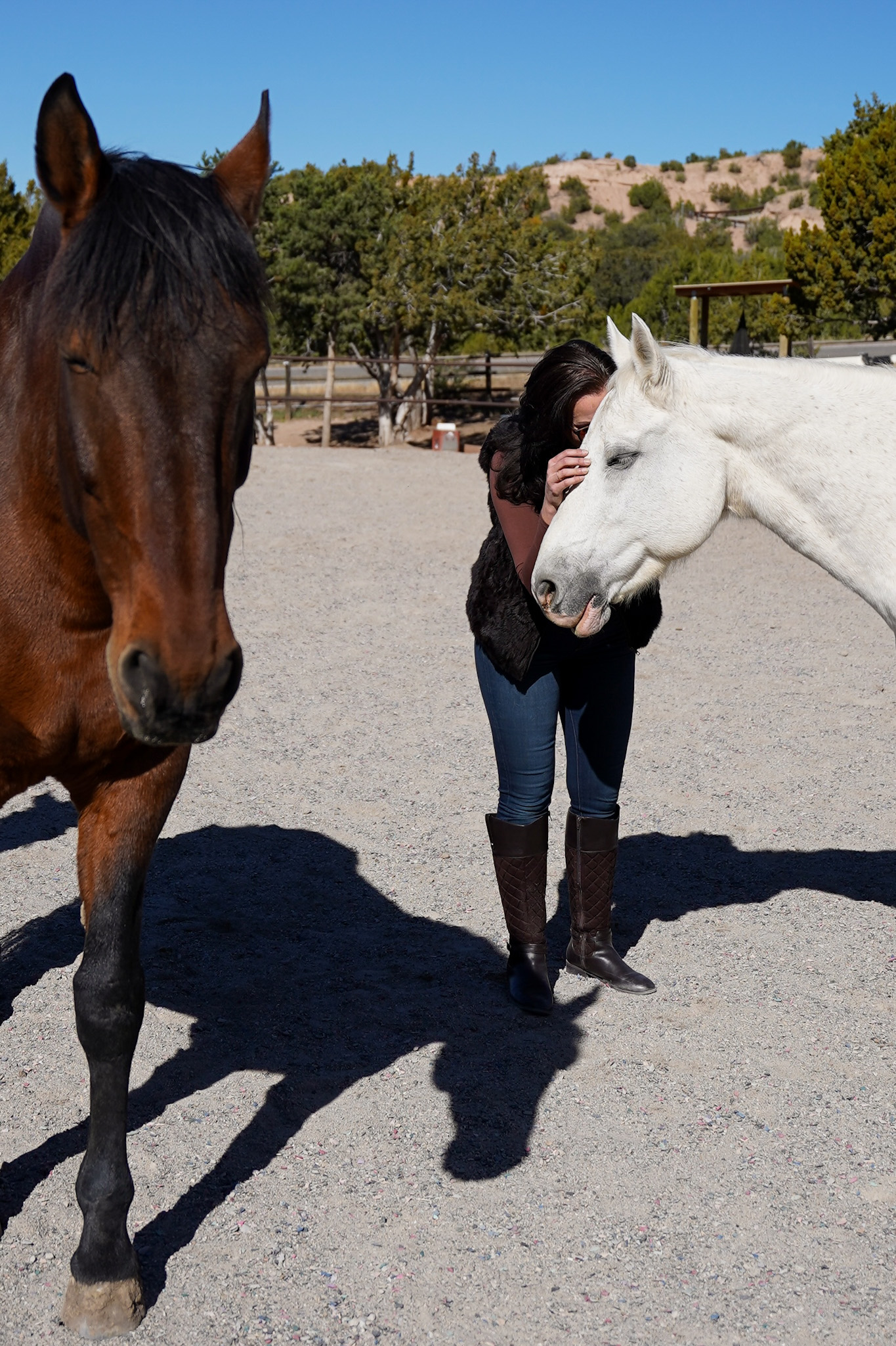 Santa Fe New Mexico Luxury Travel Guide - EQUUS Cultural Horse Herd Encounter