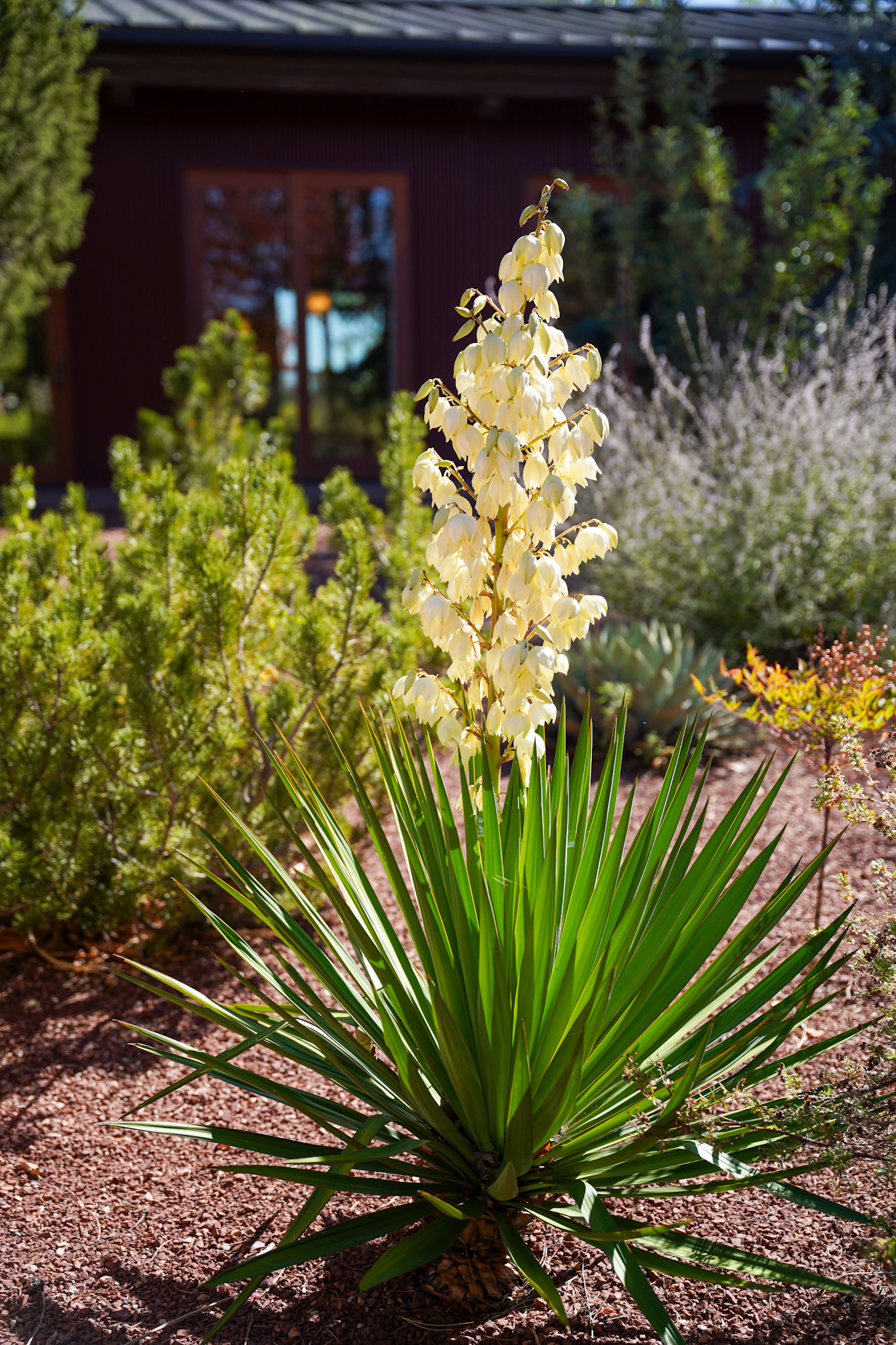 Santa Fe New Mexico Luxury Travel Guide - Four Seasons Resort Ranch Encantado Santa Fe