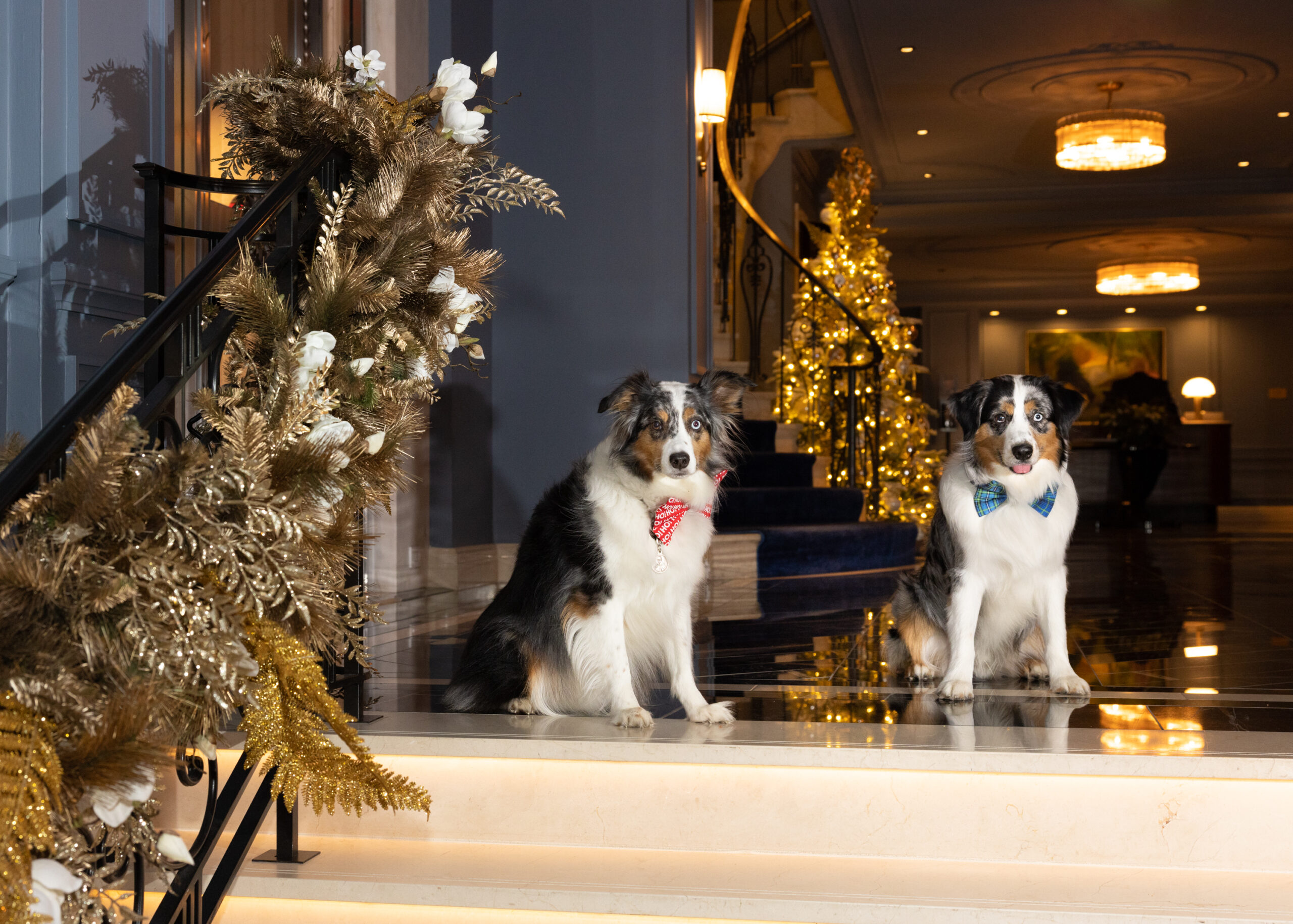 Iconic Urban Getaways Filled with Holiday Cheer & Seasonal Delights - Image credit The Newbury Boston