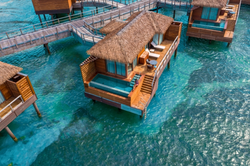 35 Gorgeous Warm-Weather Destinations To Inspire You To Escape The Cold -Image credit Princess Senses The Mangrove - Sheldon Levene