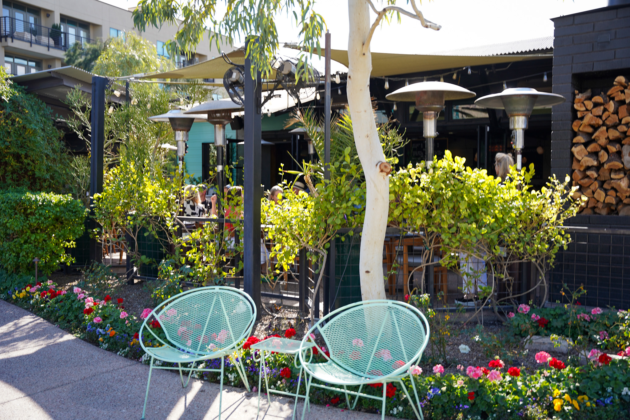 Scottsdale, Arizona - A Dreamy Desert Oasis for Tastemakers, Socialites, and Luxury Travel Enthusiasts - Buck & Rider