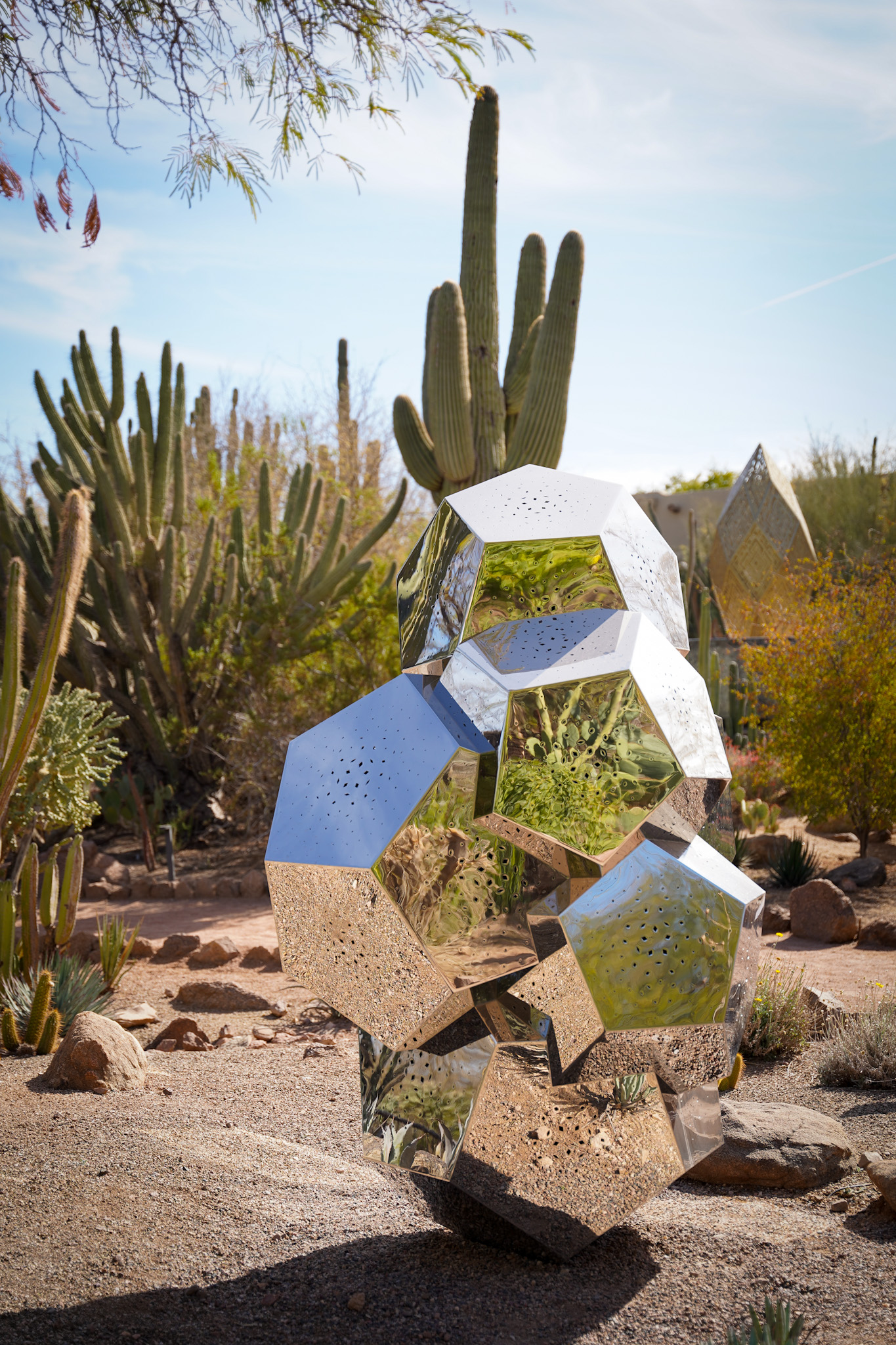 Scottsdale, Arizona - A Dreamy Desert Oasis for Tastemakers, Socialites, and Luxury Travel Enthusiasts - Desert Botanical Garden