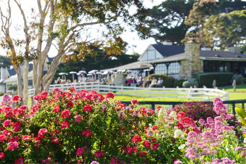 5 Delightful Restaurants on The Monterey Peninsula with Charming Settings or Beautiful Coastal Views - Mission Ranch Restaurant