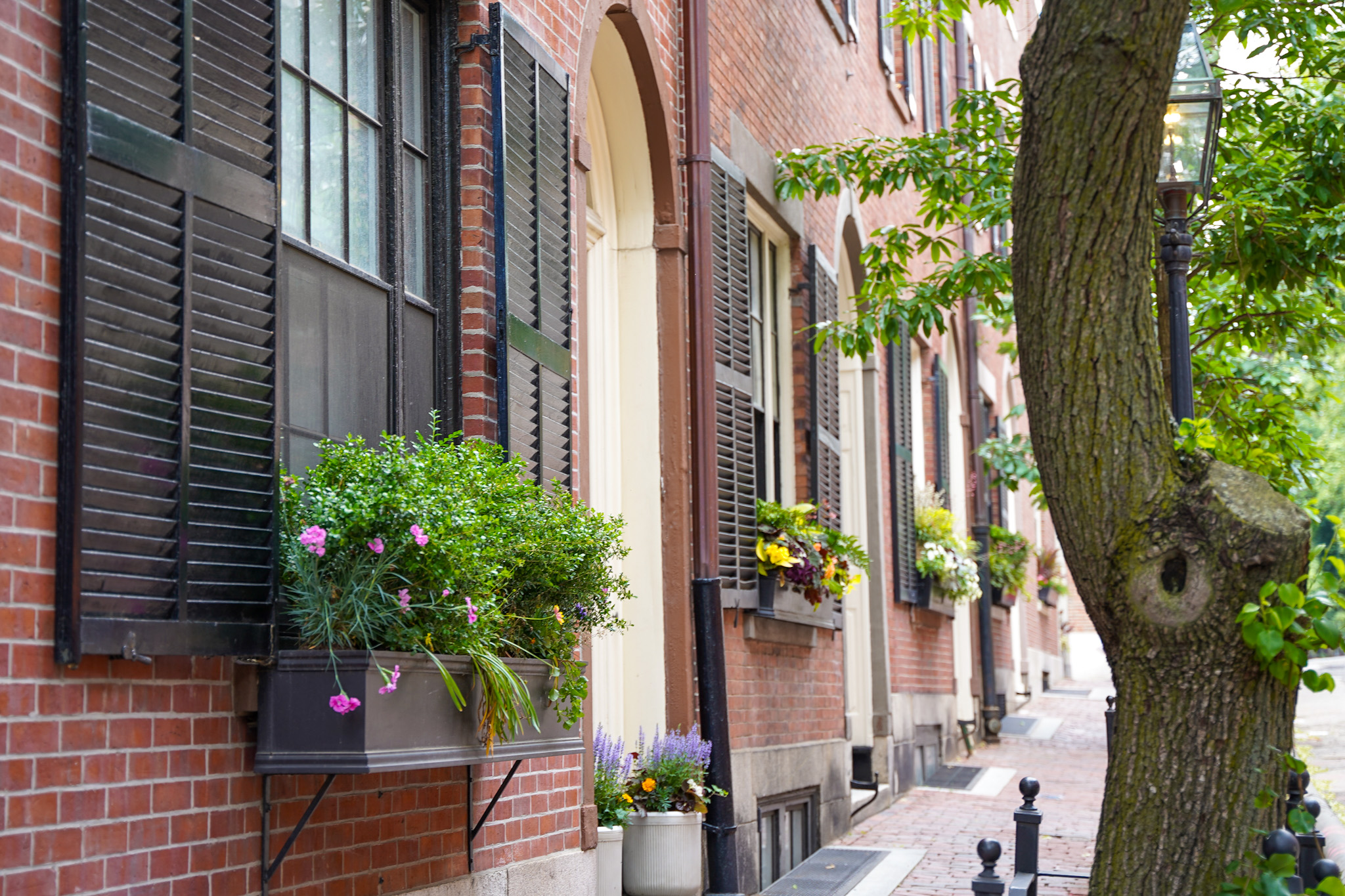 Discover The Best of Boston: A Luxury Travel Guide to New England's Historic Charm & Modern Elegance - Beacon Hill