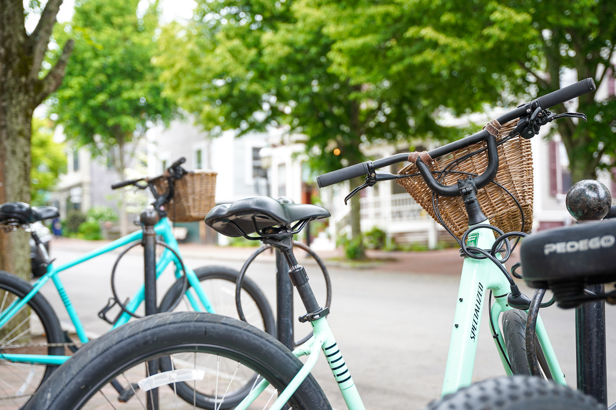 Nantucket Island Travel Guide - A Quintessential New England Destination for a Luxurious Summer Vacation - Things to Do in Nantucket