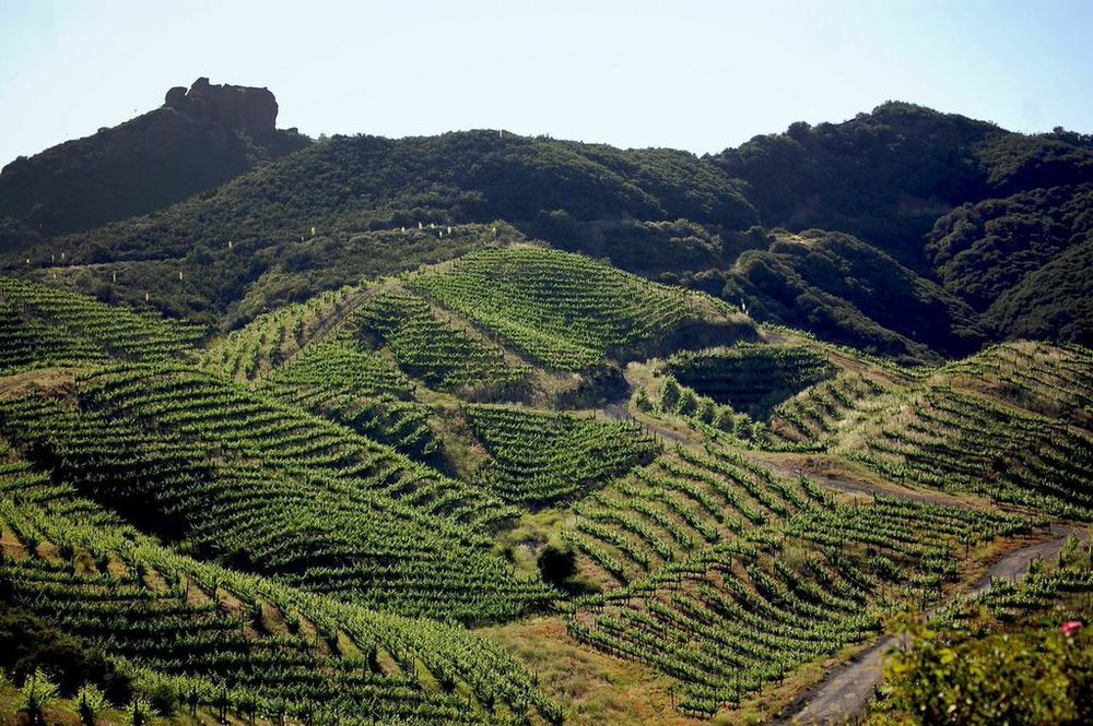 Where to Eat, Sip & Travel: 45 Upscale Food & Wine Events to Experience This Summer - Image credit Malibu Food & Wine - Saddlerock Ranch