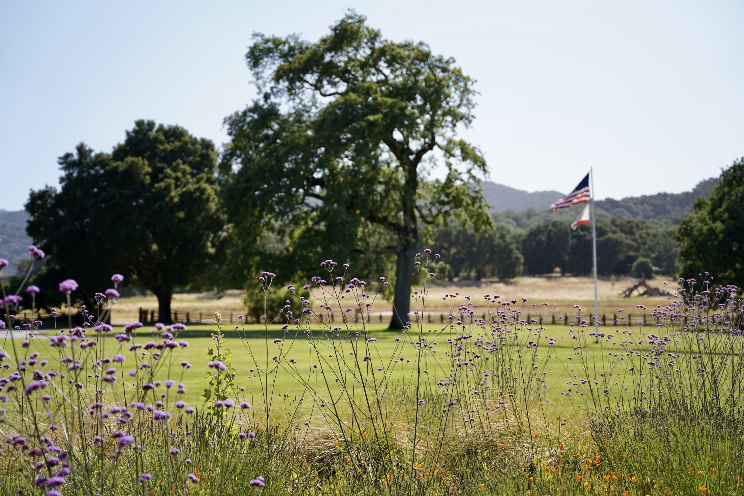 Santa Lucia Preserve Celebrates 25 Years of Community, Culture, and Conservancy - Image credit Christina-Lauren Pollack